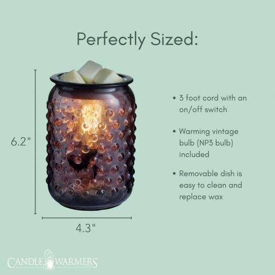 Smokey Hobnail Vintage Bulb Illumination Fragrance Warmer