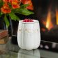 White Pumpkin Illumination Fragrance Warmer